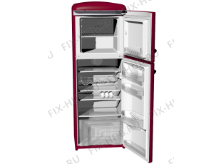 Холодильник Gorenje RF62301OR (176592, HZZS3067BF) - Фото